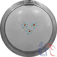 Lid Inlay